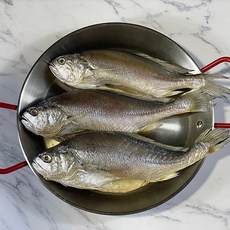 삼영건조기