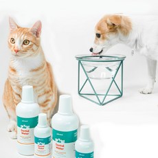 말썽쟁이여름 강아지 고양이 덴탈워터 뿌리는 먹는 치약 500ml, 2개