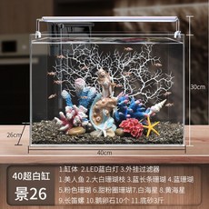 니모키우기