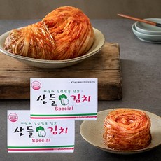 산들 국산 김치 스페셜 20kg(10kg+10kg)