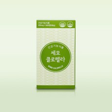 세모클로렐라