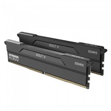  ESSENCORE KLEVV DDR5-6000 CL30 BOLT V 패키지 서린 (32GB(16Gx2)) 
