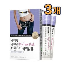 임산부차전자피
