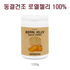 까미안느리쥬베네이팅로열락틴앰플