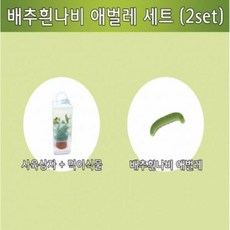 배추흰나비