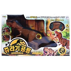 6살남아쌍둥이선물