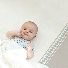 파크론라퓨어소프트1+1