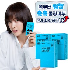웰릿 아쿠아필름 저분자 히알루론산 고함량 120mg 콜라겐 엘라스틴, 42개