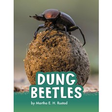 (영문도서) Dung Beetles Paperback, Pebble Books