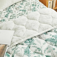 모던하우스이불