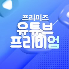 유튜브 프리미엄+유튜브 뮤직 6개월/8개월/12개월