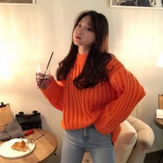 하프 터틀넥 스웨터 도톰 겨울 가을 여성니트 여자 브이넥 크롭 루즈핏 울 플로티