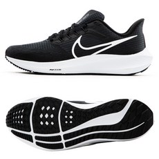 뮤지션페가수스