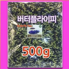 나비완두콩