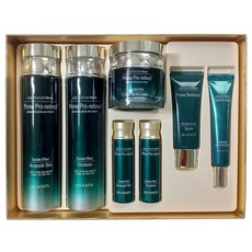 이자녹스에이지포커스