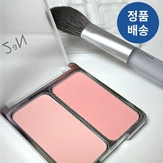 [정품배송] 2aN 투에이엔 듀얼치크+치크브러쉬 기획상품 러브로지 코코코랄 핑크페탈 수채화발색