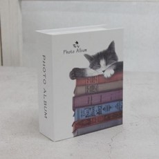 WJK100926추천 캐릭터 앨범 고양이 6인치 포켓 파는곳