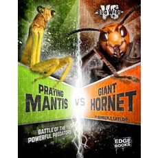 (영문도서) Praying Mantis vs. Giant Hornet: Battle of the Powerful Predators Paperback, Capstone Press, English, 9781491480717