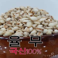 연천율무쌀