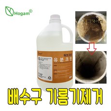오물러렌지