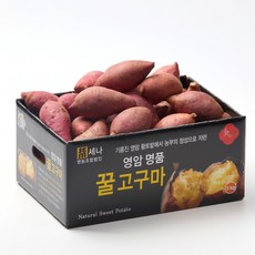 아이엠신선 박길혁 유기농 꿀고구마 세척 베니하루카, 1박스, 2KG (중)