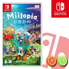 닌텐도스위치커스텀