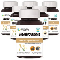 윌케어 금은화 인동꽃봉오리 추출물정 600mg x 60정,