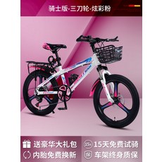 비싼자전거