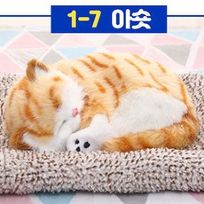 심쿵펫