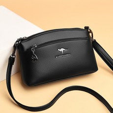 디올미니크로스백