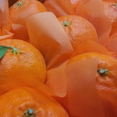 [제주산지직송] 한아름마켓 가정용 선물용 천혜향, 1박스, 3kg(선물용)