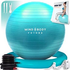 Mind Body Future 요가 볼 의자(55cm 65cm 75cm) - 운동공 스태빌리티 링. 임신 균형 필라테스 또는, One Color