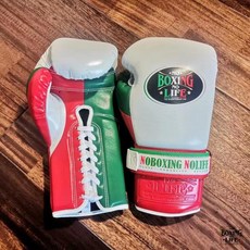 노복싱노라이프