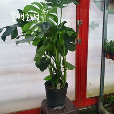 8bf7254ab96dc4e1c86edc577b8e3db5df38ddf69e879dbb1a73937b7e5d.jpg