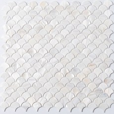 나혼자산다소주디스펜서