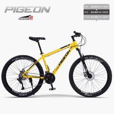 경주자전거대여