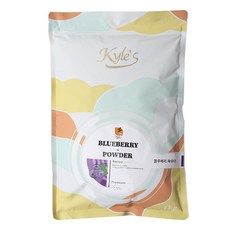 fm)카일스 블루베리 파우더 1kg 카페 업소용 식자재 시럽 파우더, 1개