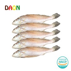 6628c2f5178767e91639123e5dff94eadfb21702dbda4704390ecb5083f4.jpg