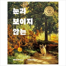 눈과 보이지 않는 : 2024 뉴베리 대상 수상작 - 오늘의 클래식 (양장) - 데이브 에거스