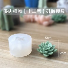 다육공예패키지