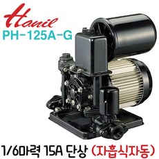 PH-125A-G, 1300
