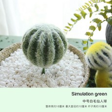 ai선인장