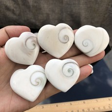 조개껍데기교구