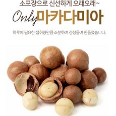 마카다미아열매
