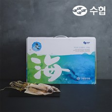 마른오징어홈쇼핑