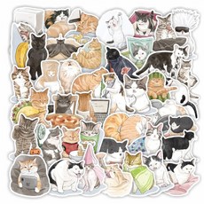 야광필름벽지