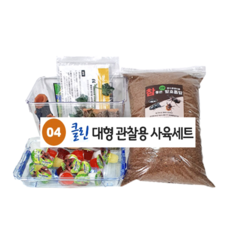 곤충프라자 장수풍뎅이 사슴벌레 키우기 기르기 고급형 클린사육 세트 (곤충 미 포함), 4) 클린 대형 관찰용 사육세트, 1개