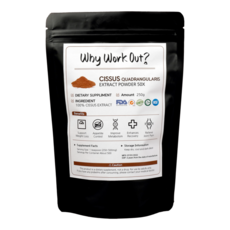 운동하면뭐하니시서스가루