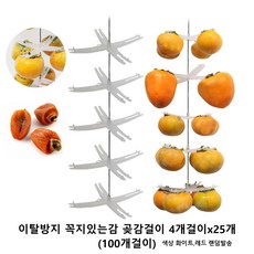 c38e7eb3bd4a6dca79dee88e2a7f43709a86f9f9628b7b845206946d300a.jpg