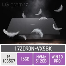 LG 그램17 2020 17ZD90N-VX5BK, 16GB, SSD 512GB, 포함